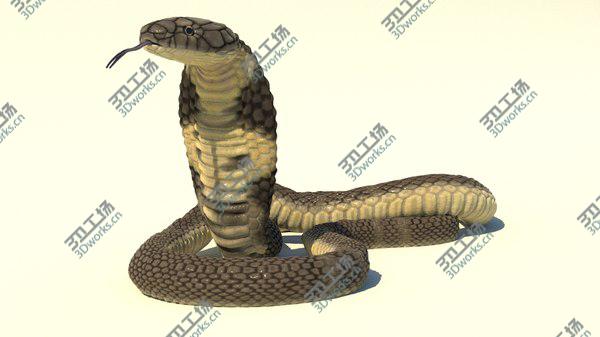 images/goods_img/20210312/3D model King Cobra Rigged Animated/1.jpg